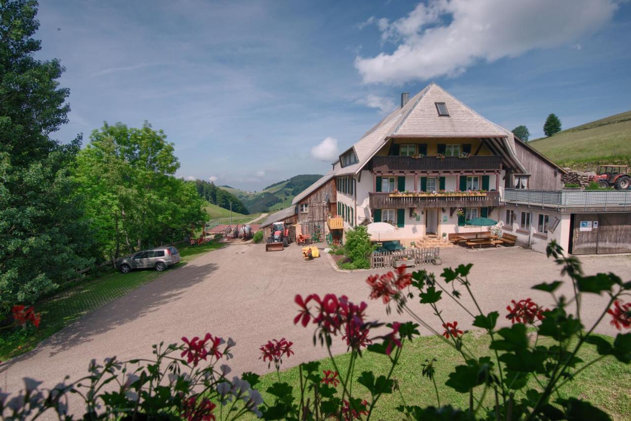 Mittlerer Itzenwaldhof - Heimkehr Daire Münstertal Dış mekan fotoğraf
